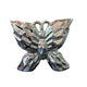 MARIPOSA