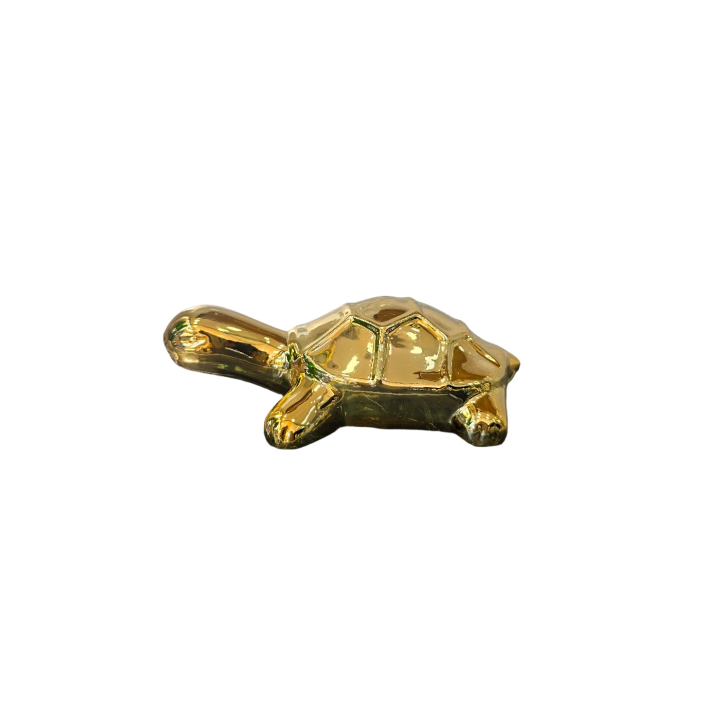 Tortuga