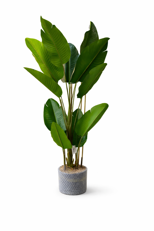 PLANTA AVE DEL PARAISO