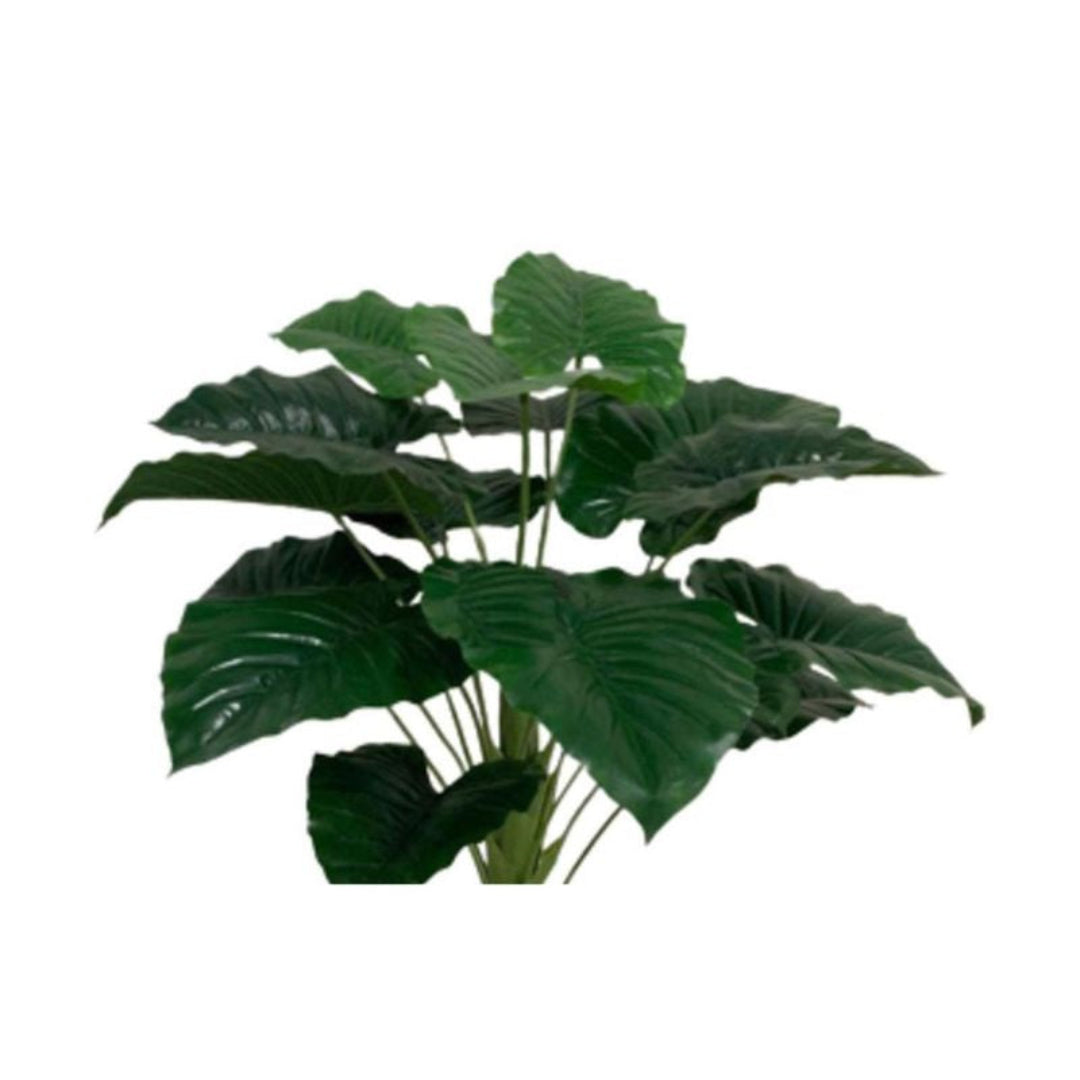 PLANTA ARTIFICIAL MANTO DE EVA