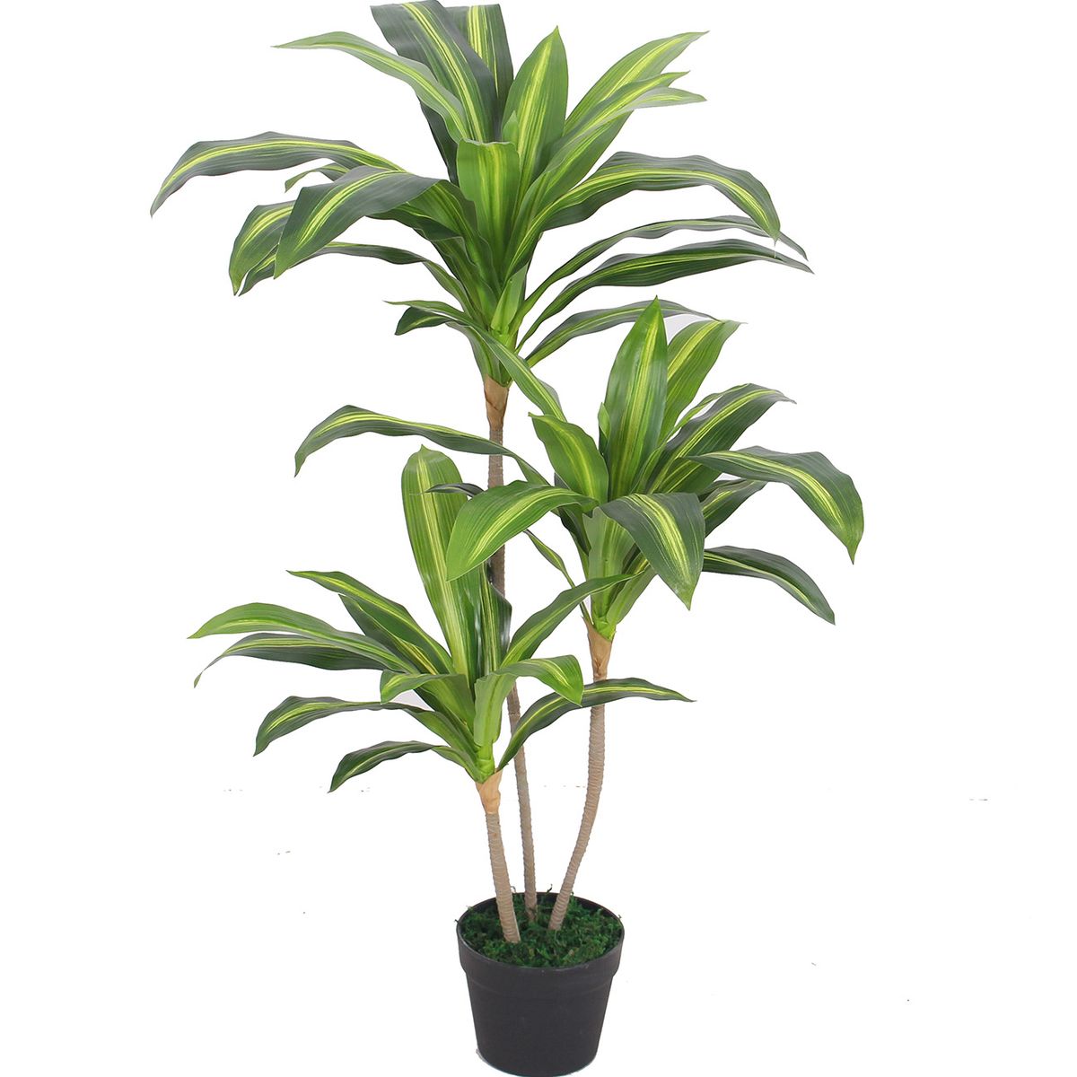 PLANTA ARTIFICIAL DRACENA