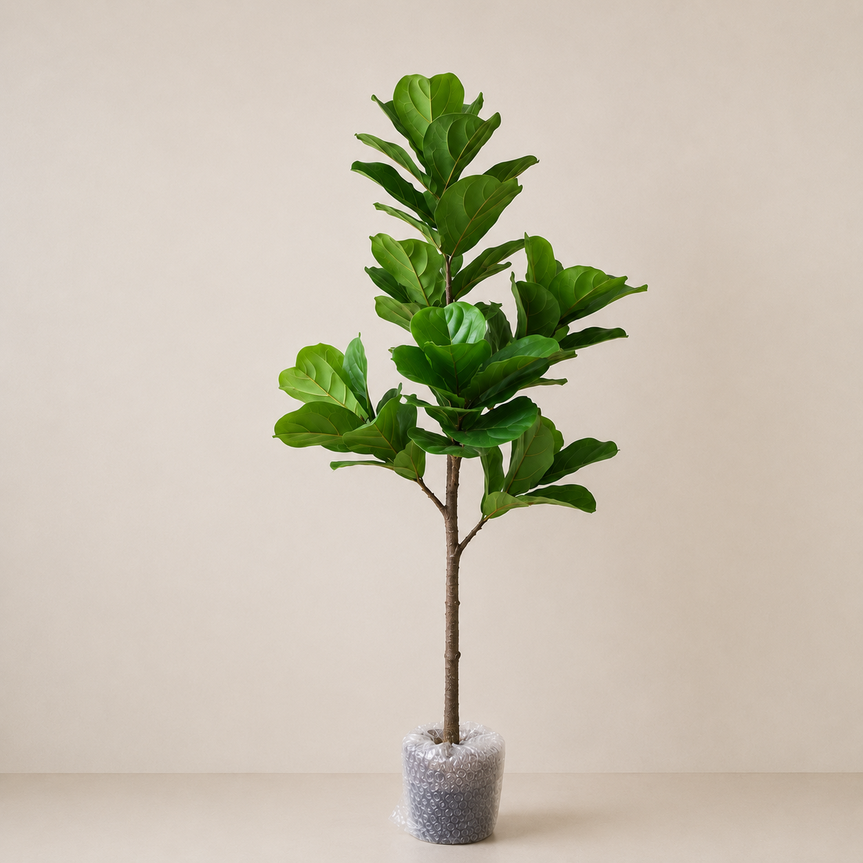 Planta Artificial Ficus Lira