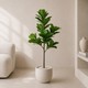 Planta Artificial Ficus Lira